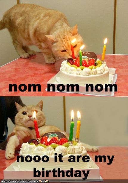 Birthday LOLcat